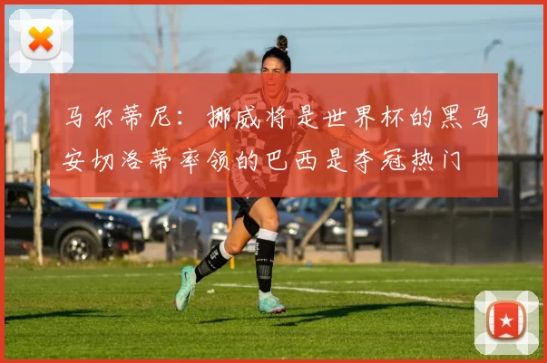 马尔蒂尼：挪威将是世界杯的黑马安切洛蒂率领的巴西是夺冠热门